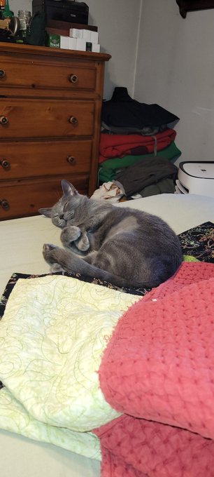 Dont i have a cute pussy https://t.co/ElArgdI18V