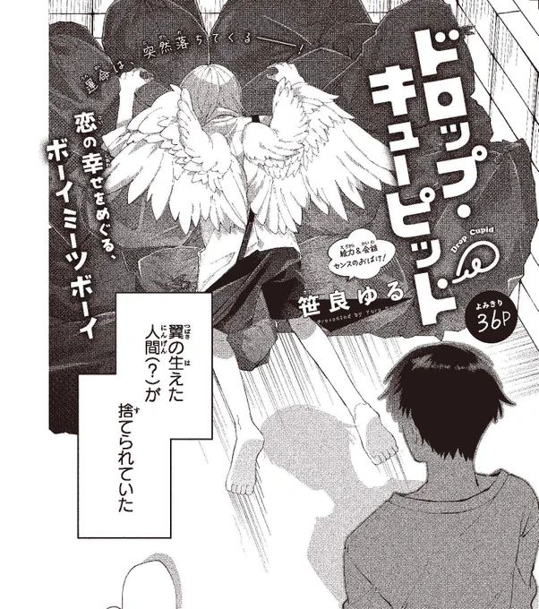 【#ザ花とゆめシークレット 好評発売中‼】
よみきり36P
「#ドロップキューピッド」#笹良ゆる

恋の幸せをめぐる、ボーイミーツボーイ

運命は、突然落ちてくる__! 
