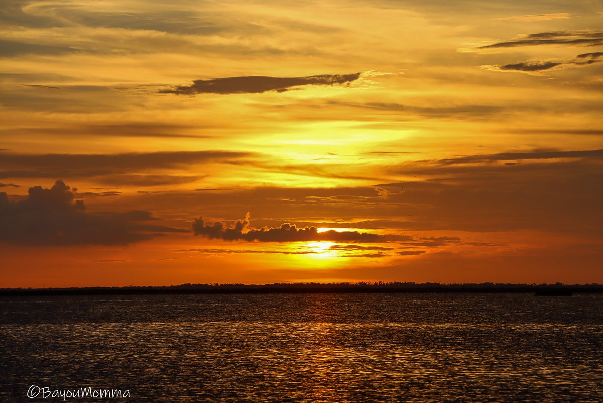 TerriGPhoto's tweet photo. Down Point Aux Chenes @MargaretOrr @lovinlouisiana #OnlyLouisiana @Pointe_Au_Chien #BayouMomma #Bayou #Louisiana @LouisianaLtGov @LafourcheGazett https://t.co/nqvq5yNMEG