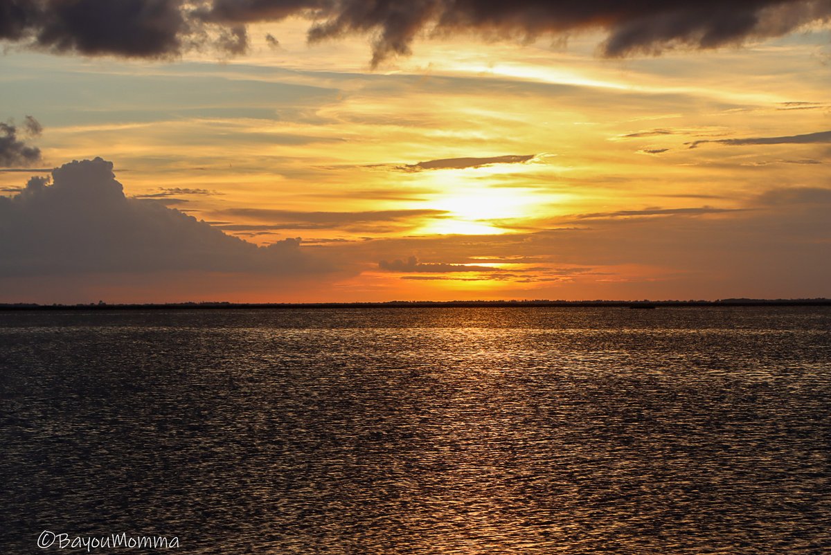 TerriGPhoto's tweet photo. Down Point Aux Chenes @MargaretOrr @lovinlouisiana #OnlyLouisiana @Pointe_Au_Chien #BayouMomma #Bayou #Louisiana @LouisianaLtGov @LafourcheGazett https://t.co/nqvq5yNMEG