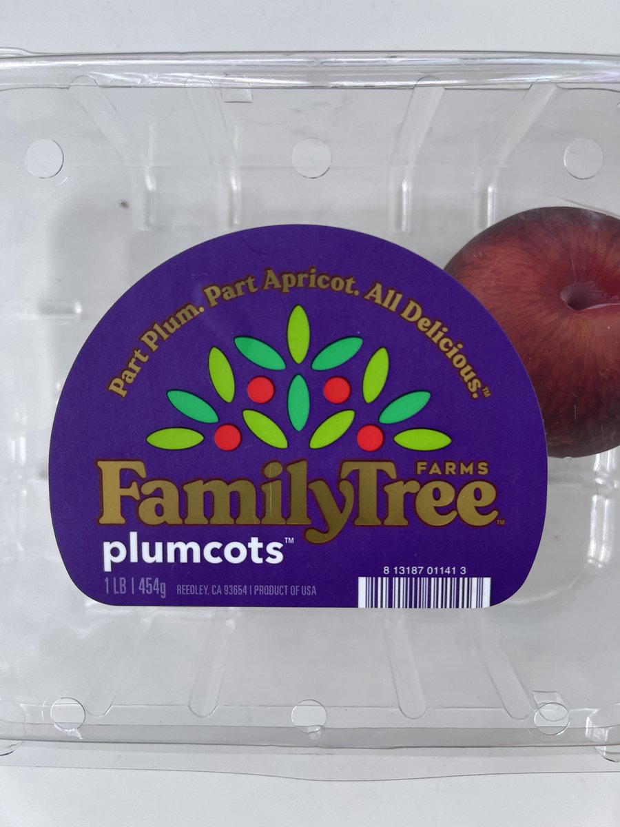 Evan Wathington tweet media