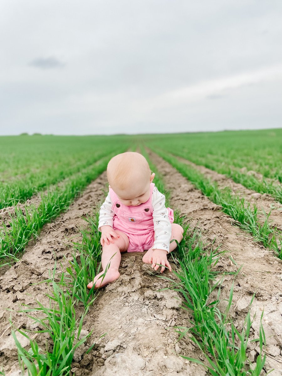 ShelbydBellow's tweet photo. @canterraseeds https://t.co/lpOsWJk6cU