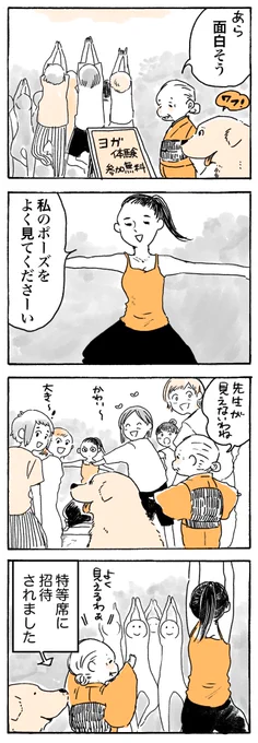 よく見てくださーい

#姫ばあちゃんとナイト
(単行本発売中!) 