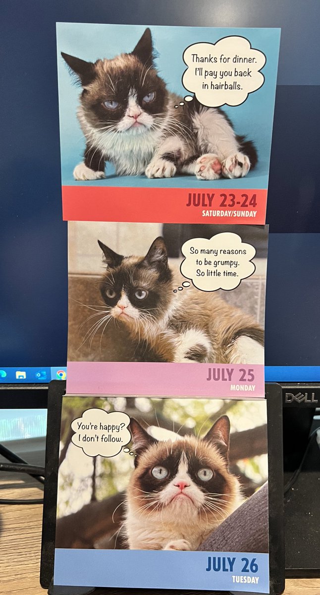 ToreeMcGee's tweet photo. Triple threat #grump. #grumpycat #dailygrump https://t.co/kvy1XI3Xtz