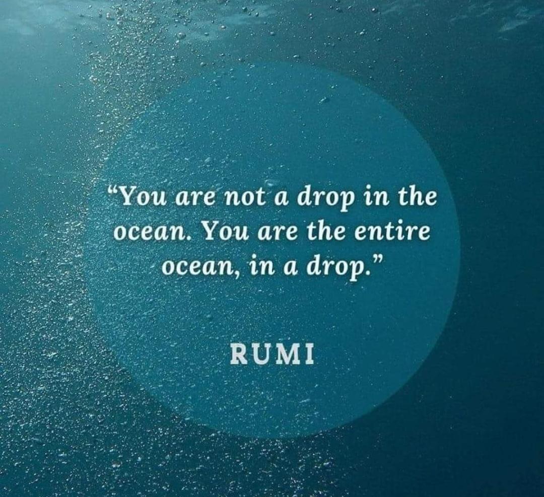 Dr Shoukat Rind (@DrShoukatRind) / Posts / X
