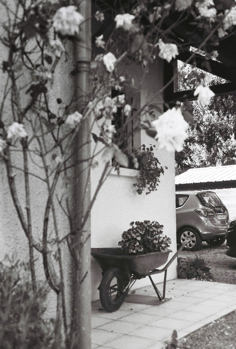 Back to basics
<a href="/ILFORDPhoto/">ILFORD PHOTO</a> 
#PhotoOfTheDay #photography #camera #monochrome #streetphotography #filmphotography #blackandwhite #bnw #bnwphotography #artist 

#France , #Périgord
ROLLEI 35S ISO400 #35mmfilm
© Maxime Siellez