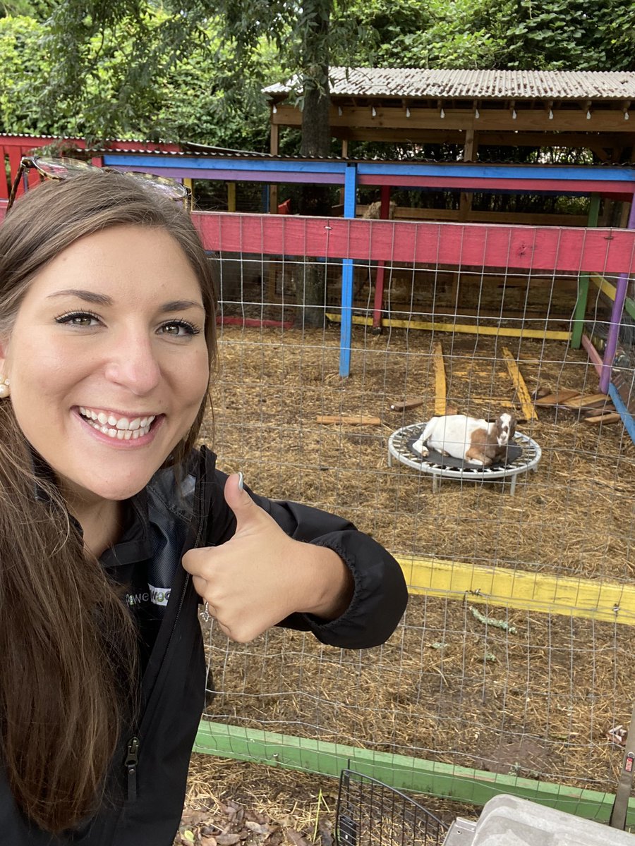 Morgan Koberg (@morgankoberg) on Twitter photo When thereโs goats on a trampoline, you HAVE to stop and take a selfie! I canโt wait to see what the students at <a href="/_Dateacademy/">DeKalb Agriculture Environment & Technology, Inc.</a> do with <a href="/ClassVR/">ClassVR from Avantis</a>. A student created school tour, anyone?? <a href="/DATETechnology/">D.A.T.E Technology Department</a> <a href="/powerupedu/">PowerUpEDU</a> When thereโs goats on a trampoline, you HAVE to stop and take a selfie! I canโt wait to see what the students at <a href="/_Dateacademy/">DeKalb Agriculture Environment & Technology, Inc.</a> do with <a href="/ClassVR/">ClassVR from Avantis</a>. A student created school tour, anyone?? <a href="/DATETechnology/">D.A.T.E Technology Department</a> <a href="/powerupedu/">PowerUpEDU</a>