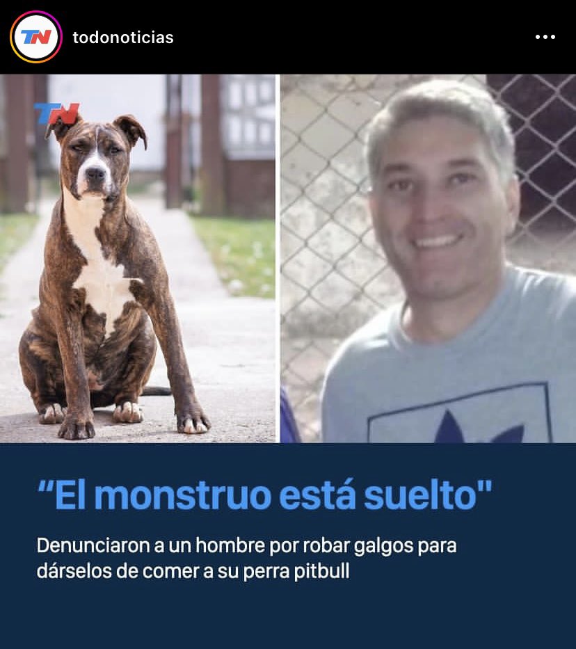 SegunAliani's tweet photo. Un fav y me voy a Cordoba a cagarlo a trompadas. https://t.co/M672cYSKUq
