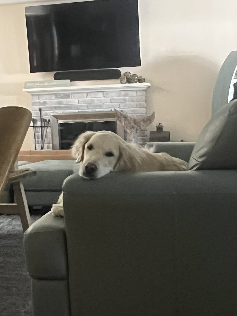 TJGoldBoi's tweet photo. POV it’s me after my shift of work 😴 https://t.co/NMqzVKxzJR