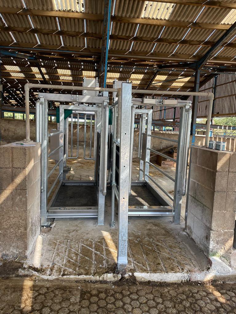 hoofcount's tweet photo. #hoofcount double transit install almost complete on this farm this week. Perfect health station for dry cows. Footbath,weigh, feed. #healthyfeet #effective #drycows #teamdairy looking forward to seeing the positive impact. https://t.co/SDoOnvitje