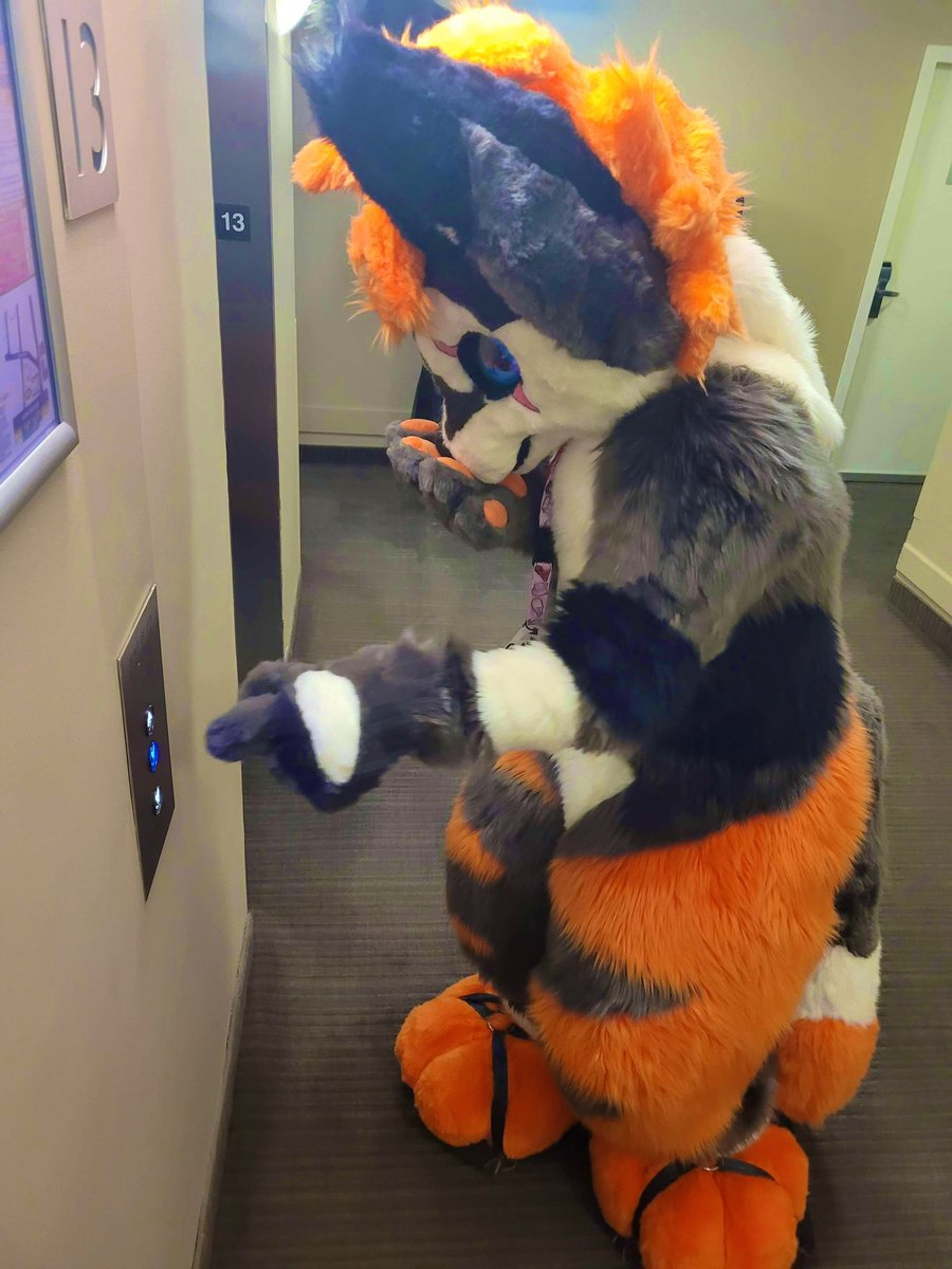 Garou the Fox 🔜 FurJam tweet media