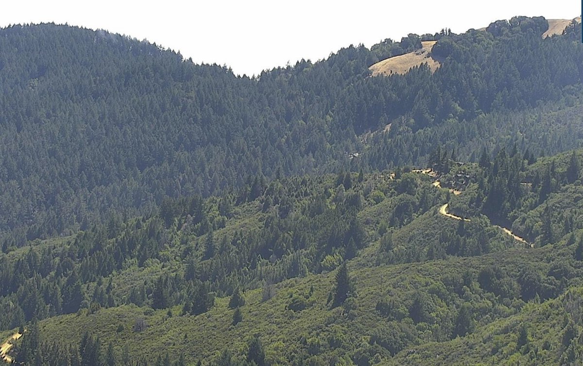 Sarah_Stierch's tweet image. #BootFire #MarinCounty #MillValley 

—3:10 PM 7/26—
🔥10x10 ft spot
👏FORWARD PROGRESS HAS BEEN STOPPED👏

Map has been moved to updated location (estimate as I don't have coordinates)