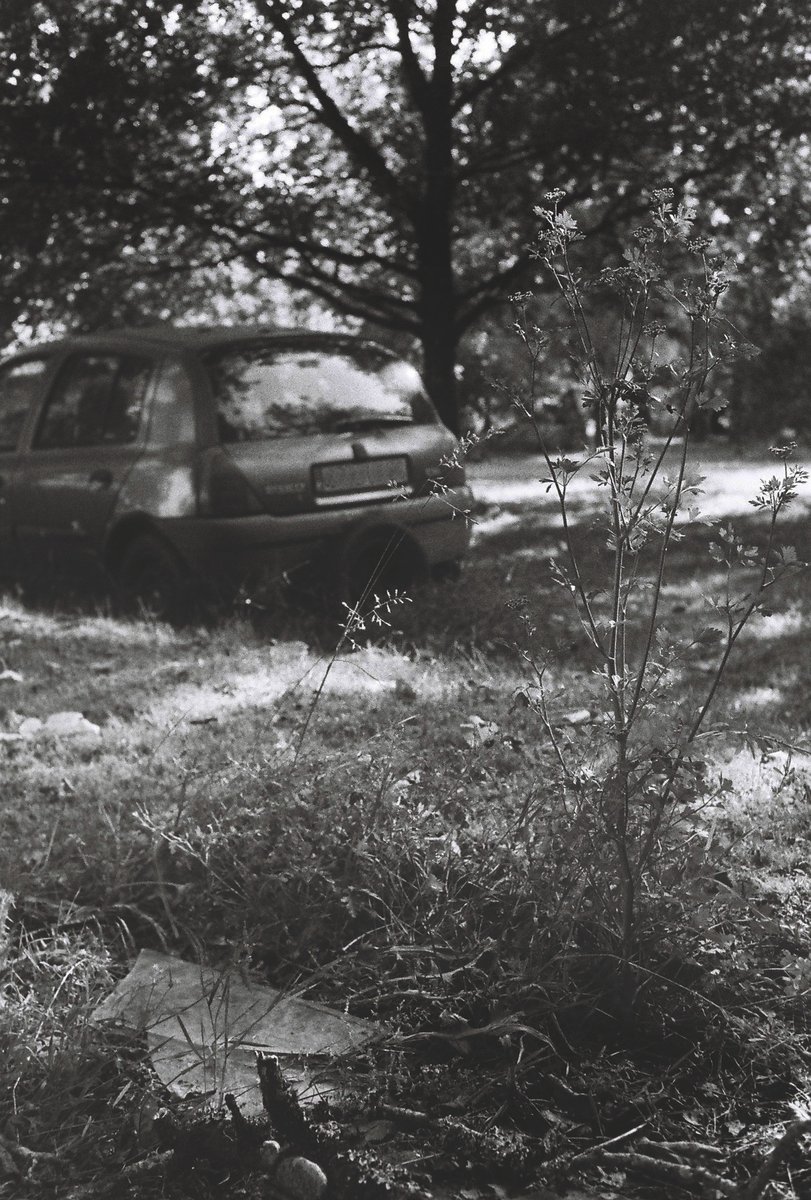 When time passes, nature gains its colours back n°2
<a href="/ILFORDPhoto/">ILFORD PHOTO</a> 
#PhotoOfTheDay #photography #camera #monochrome #streetphotography #filmphotography #blackandwhite #bnw #bnwphotography #artist #Automobile #renault

#France ,Périgord
ROLLEI 35S ISO400 #35mmfilm
© Maxime Siellez
