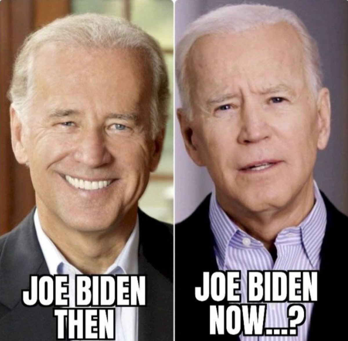 Anna Khait tweet media