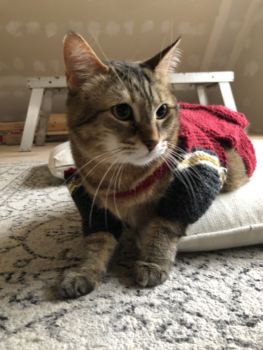 tuffmustard's tweet photo. @overtimestress She’s enjoying her summer vacation in Nova Scotia! She’s eager to get to Toronto and wear her new sweater ❤️ https://t.co/gZNFyF3LUR