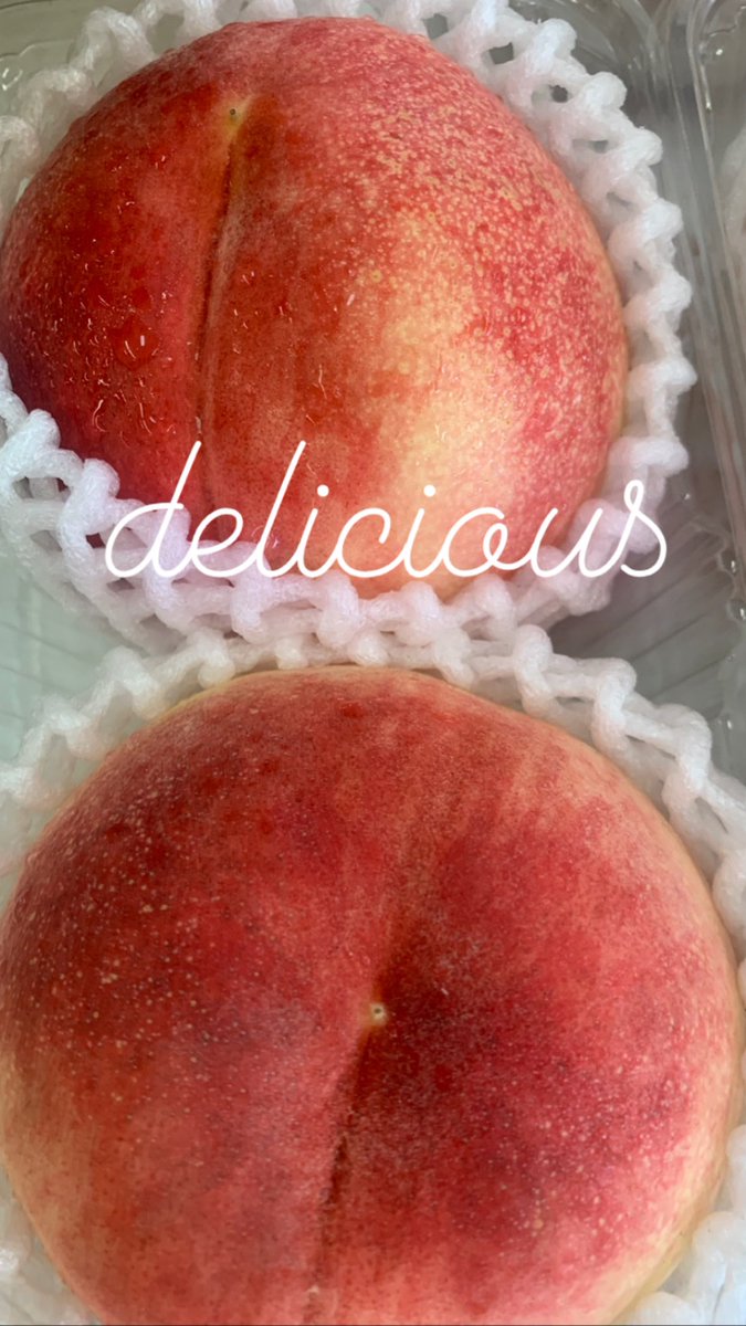 nakatasyouten1's tweet photo. お買い求めやすい👨🌾
使いやすい👨🌾
手乗りサイズのスイカ🍉南瓜🎃
オススメです♪
梅雨が明けて暑い日が続きますので熱中症、体調にお気をつけてお過ごしください🙇♂️
#中田商店 #手乗りサイズ #使いやすい #お買い求めやすい #グッドサイズ #goodsize #梅雨明け https://t.co/2oeBmCzd9H