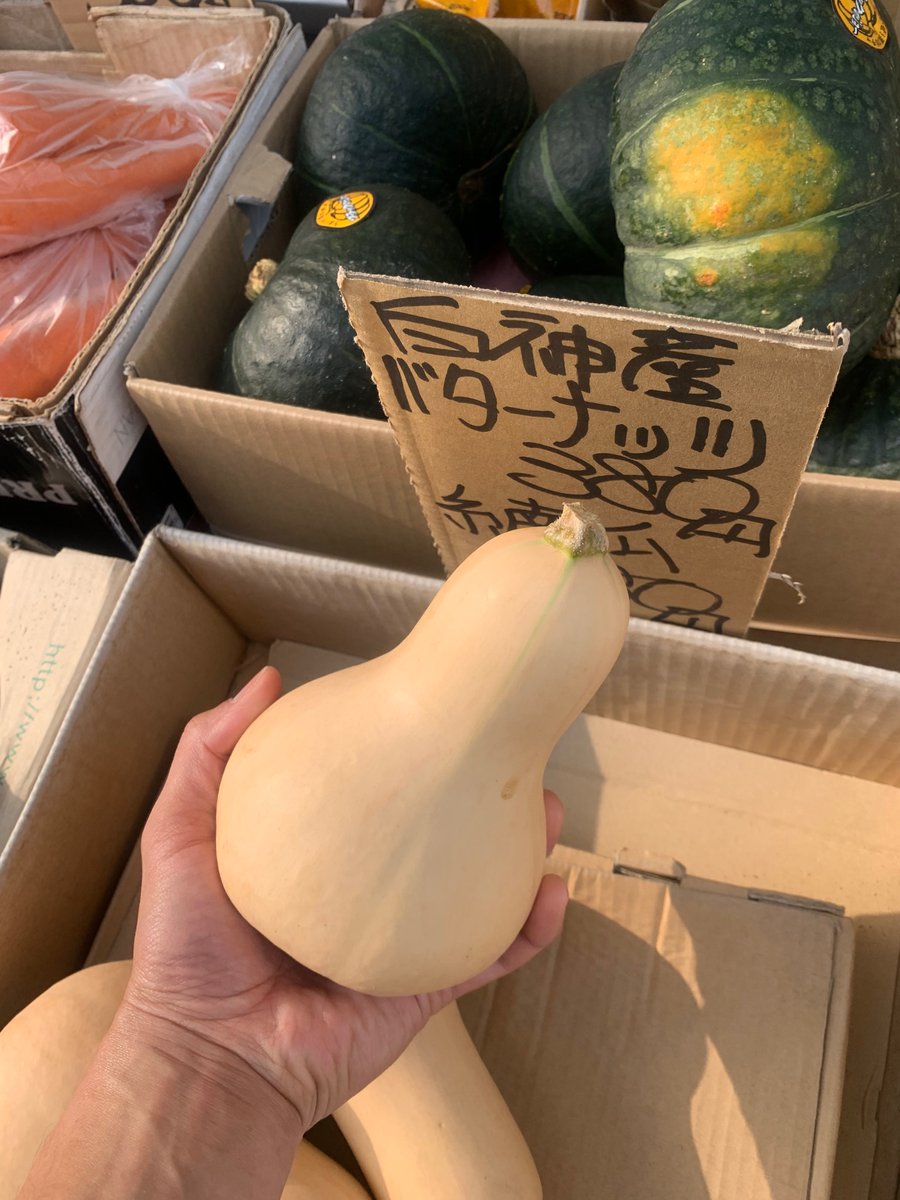 nakatasyouten1's tweet photo. お買い求めやすい👨🌾
使いやすい👨🌾
手乗りサイズのスイカ🍉南瓜🎃
オススメです♪
梅雨が明けて暑い日が続きますので熱中症、体調にお気をつけてお過ごしください🙇♂️
#中田商店 #手乗りサイズ #使いやすい #お買い求めやすい #グッドサイズ #goodsize #梅雨明け https://t.co/2oeBmCzd9H