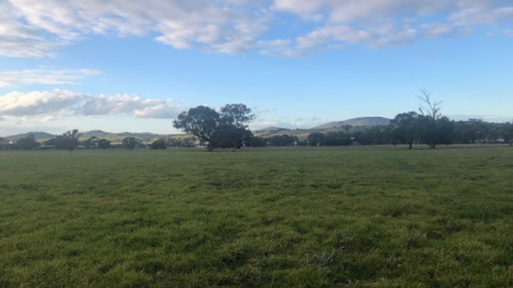 📌Closest Town: Newstead VIC 3462, Australia
📌Size: 153.0 Acres
📌arm Type: Mixed Farming

buff.ly/33vf2Z1

#cultivatefarms #farmownership #farmopportunity