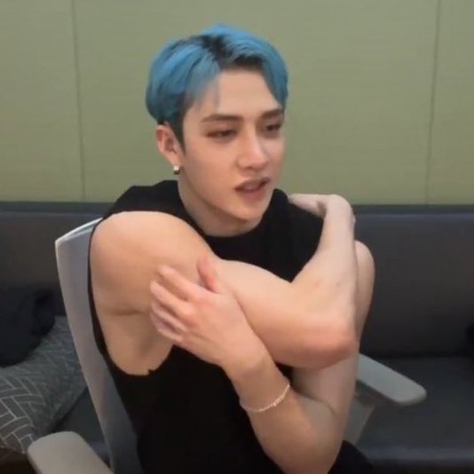 bang chan’s arms. that’s the tweet. that’s all.