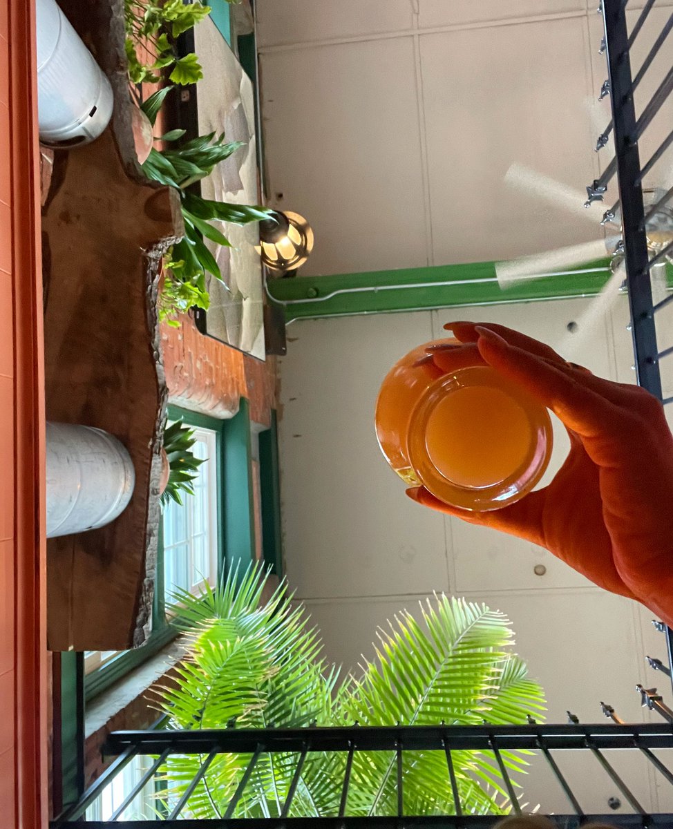 🪴 Never before seen angles 🪴

#plants #plantsandbeers #angles #ohiocraftbeer #beerme #plantlife #JAFB
