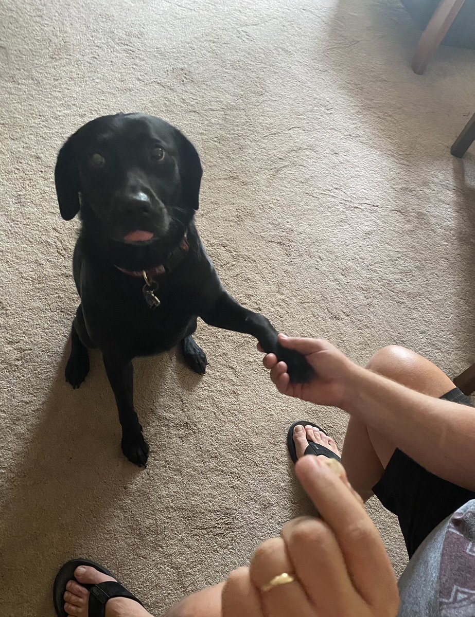 Tara Cahill tweet media