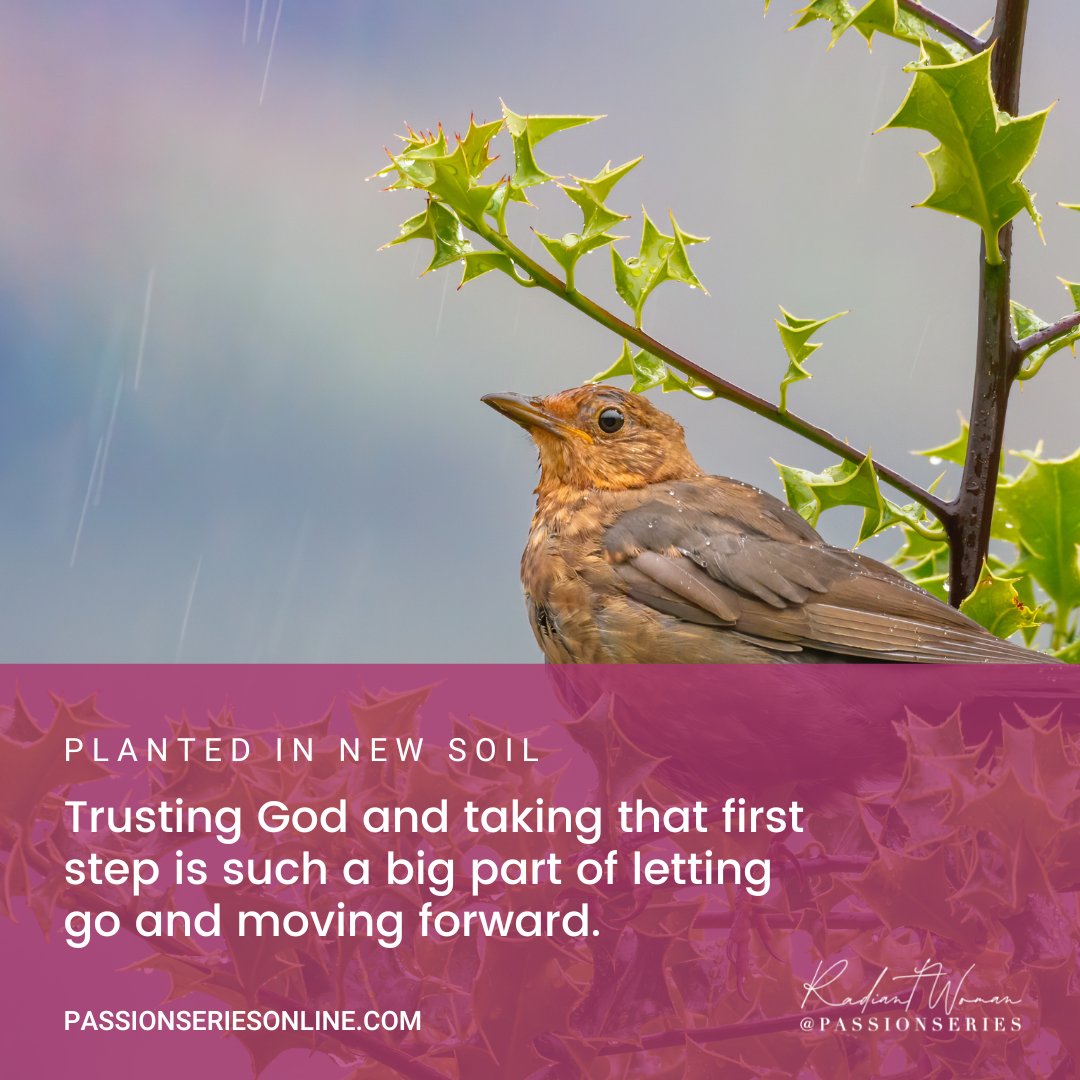 mrskayehoward's tweet photo. "Trusting God and taking that first step is such a big part of letting go and moving forward to that new fertile ground that #God has planted you in." https://t.co/isxHH16Qnx

#build #create #architecture #clutter #free #passion #me #RadiantWoman #inspire #soil #design #promise https://t.co/rFiExvgQTq