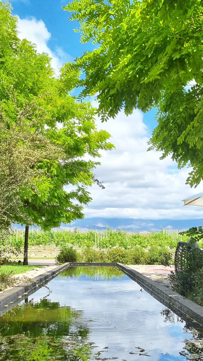 acercatealvino's tweet photo. La Cordillera desde @SoloContigoWine, en Los Chacayes. https://t.co/BAff8erUzd
