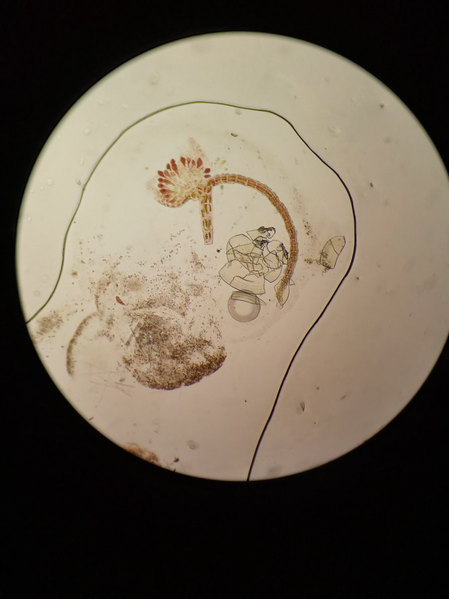 Valentina Cardona (@valecardona_) on Twitter photo 