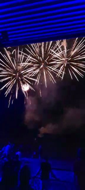 PyrotechnicsOf's tweet image. 