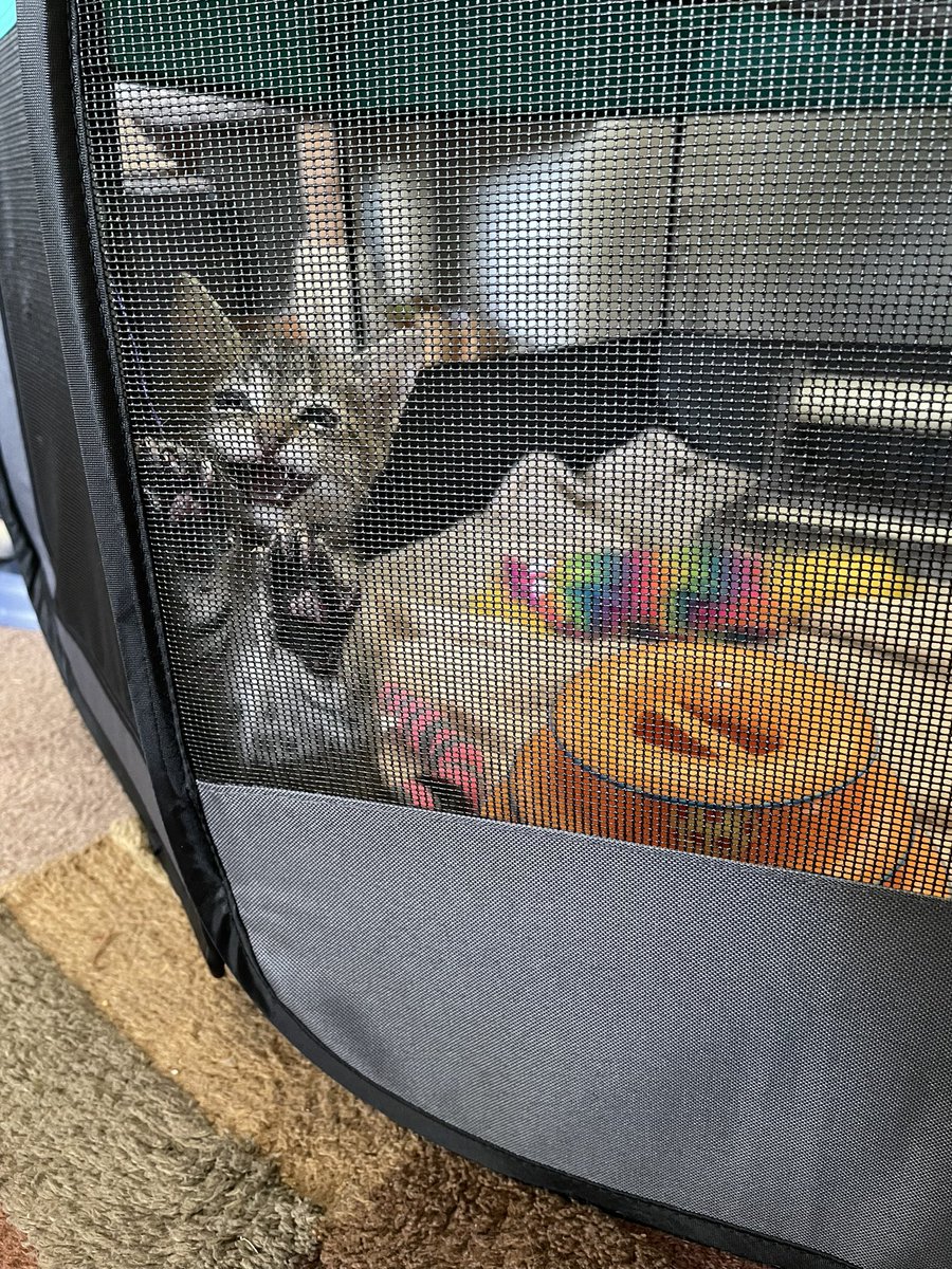 feederofcats's tweet photo. finally he has been arrested for his crimes https://t.co/GnXykJGkcG