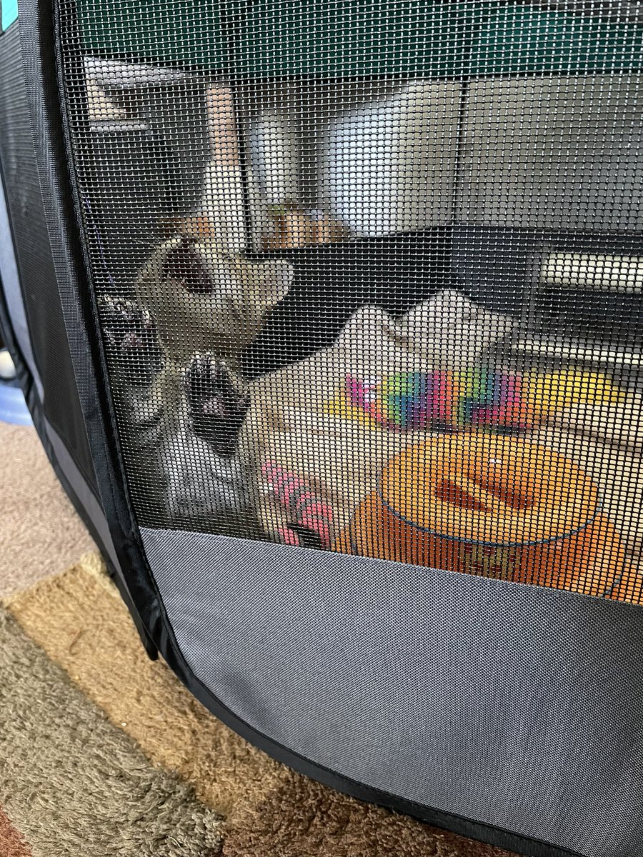 feederofcats's tweet photo. finally he has been arrested for his crimes https://t.co/GnXykJGkcG