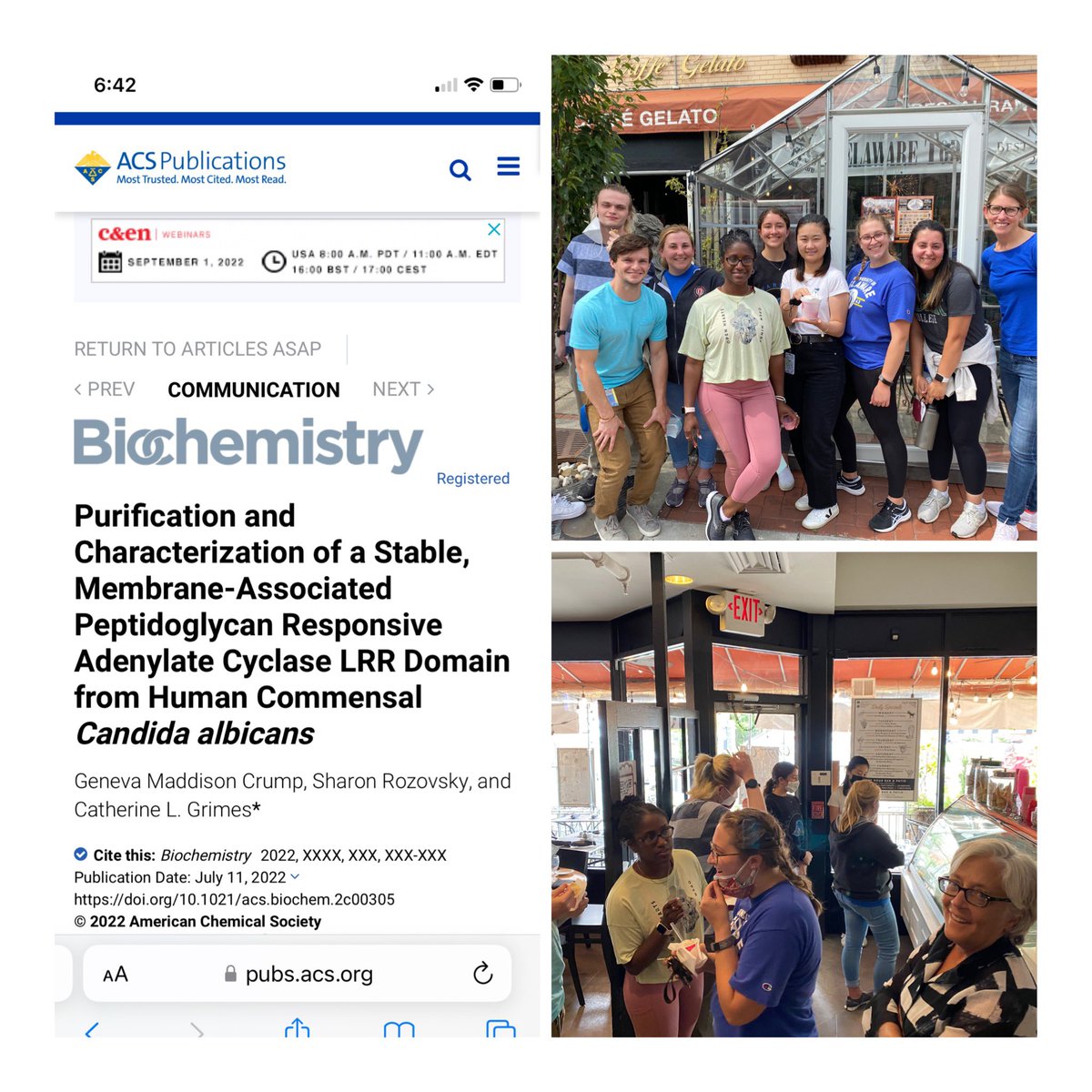Catherine L Grimes (@clgrimeslab) on Twitter photo Congratulations <a href="/GenevaMCrump/">geneva crump</a> for teaching us how to work with the C albicans’ LRR Cry1, an important protein in sensing bacterial peptidoglycan <a href="/BiochemistryACS/">Biochemistry</a> . Fun collaboration with membrane expert <a href="/sharonrozovsky/">Sharon Rozovsky</a>! ❤️ gelato! <a href="/UDResearch/">UD Research</a> <a href="/UDelCBI/">UDelaware_CBI</a> pubs.acs.org/doi/10.1021/ac… Congratulations <a href="/GenevaMCrump/">geneva crump</a> for teaching us how to work with the C albicans’ LRR Cry1, an important protein in sensing bacterial peptidoglycan <a href="/BiochemistryACS/">Biochemistry</a> . Fun collaboration with membrane expert <a href="/sharonrozovsky/">Sharon Rozovsky</a>! ❤️ gelato! <a href="/UDResearch/">UD Research</a> <a href="/UDelCBI/">UDelaware_CBI</a> pubs.acs.org/doi/10.1021/ac…