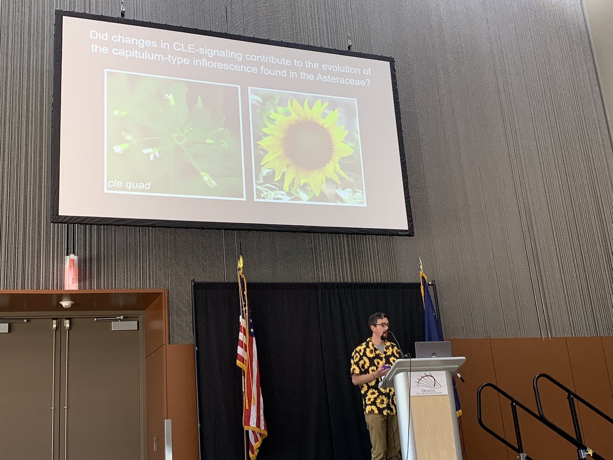 M_Gostel's tweet photo. Daniel Jones @AuburnU continues the #Funk symposium describing efforts to understand genetic basis for the developmentally characteristic #capitulum #development in #Compositae
#Botany2022 https://t.co/xjXQ4eur2Y