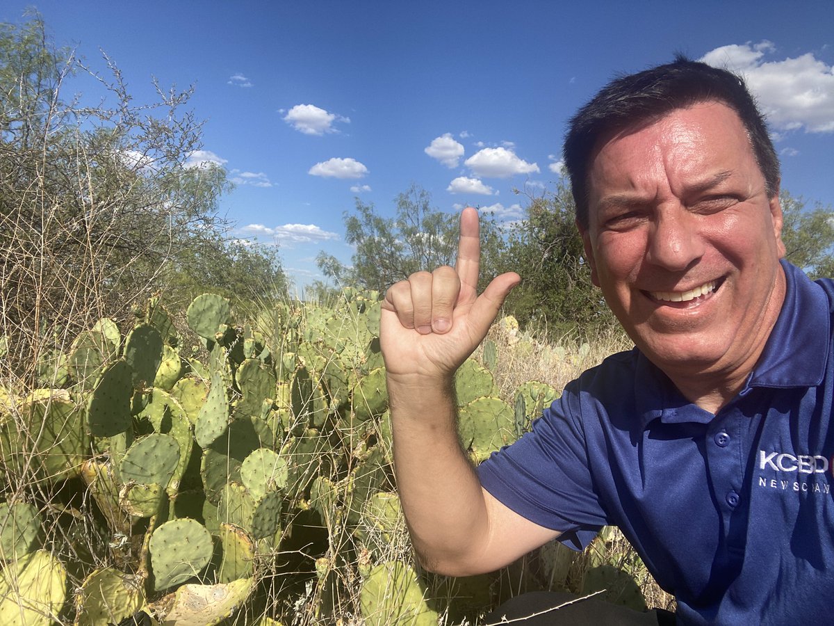 pchristy11's tweet photo. 🌵out in Spur https://t.co/lJi1wWrz02