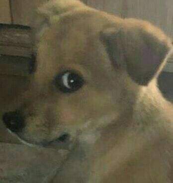 Leona on Twitter: "@idlesan_nsfw First time on which hole?? https://t