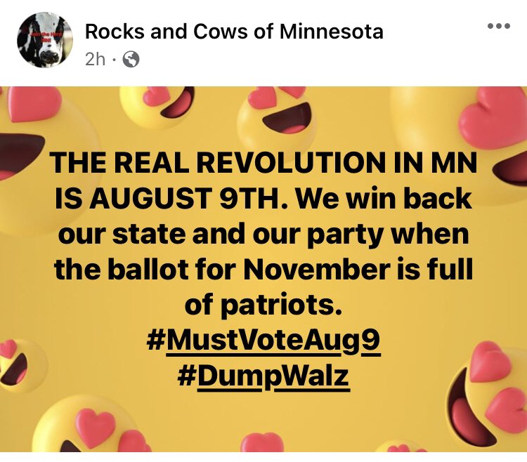 RocksandCowsMN's tweet photo. It’s our time now! #DumpWalz #TakeBackMN https://t.co/LlQhOtIbzO
