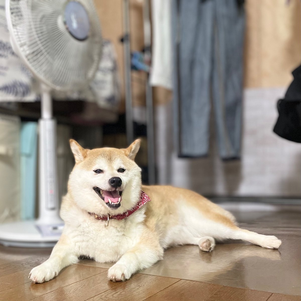 クスッと笑える Twitter Search Twitter