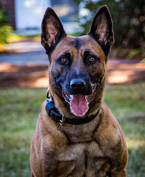 State Police Association of Massachusetts tweet media