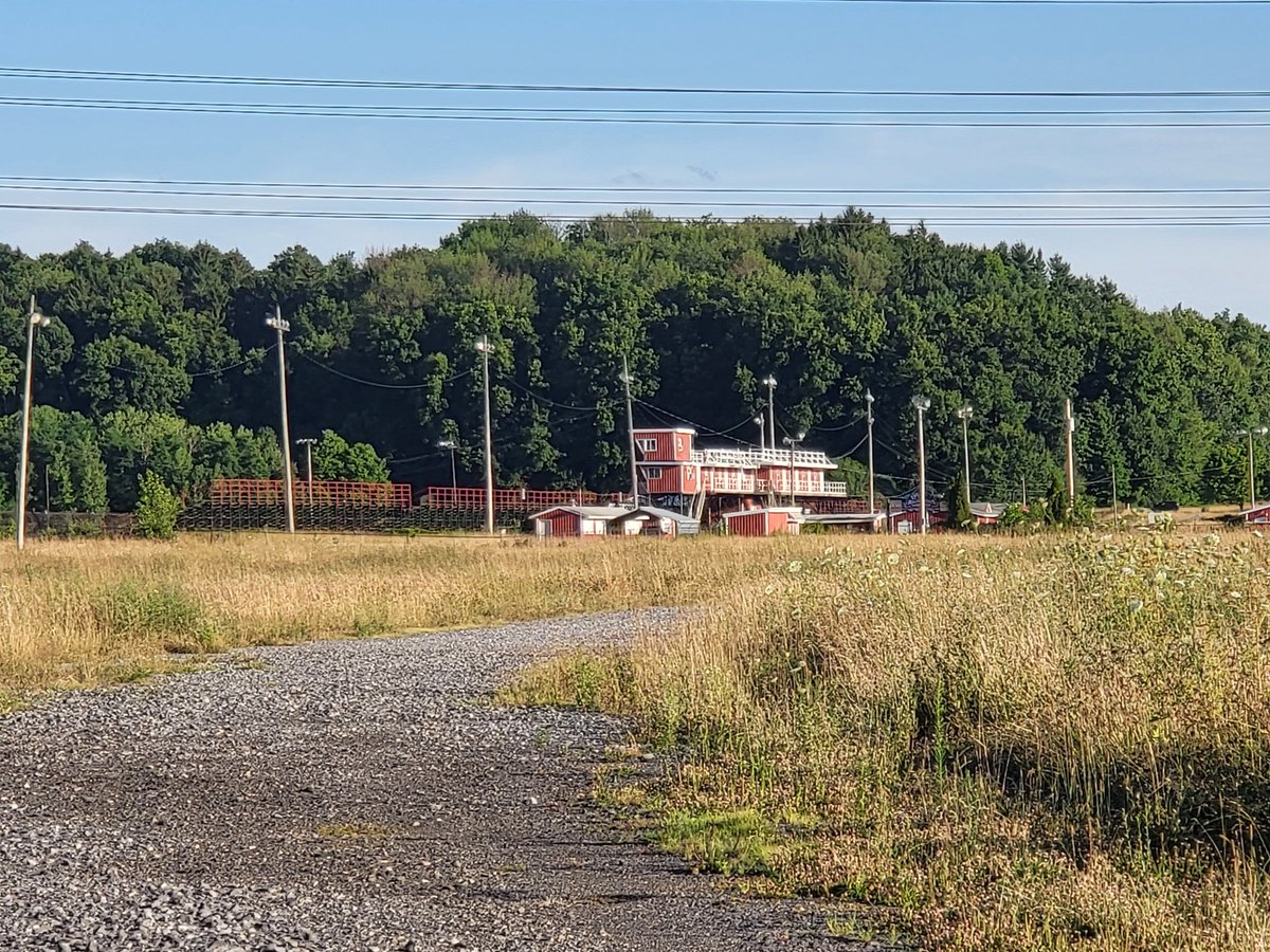 Johnny Gibson tweet media