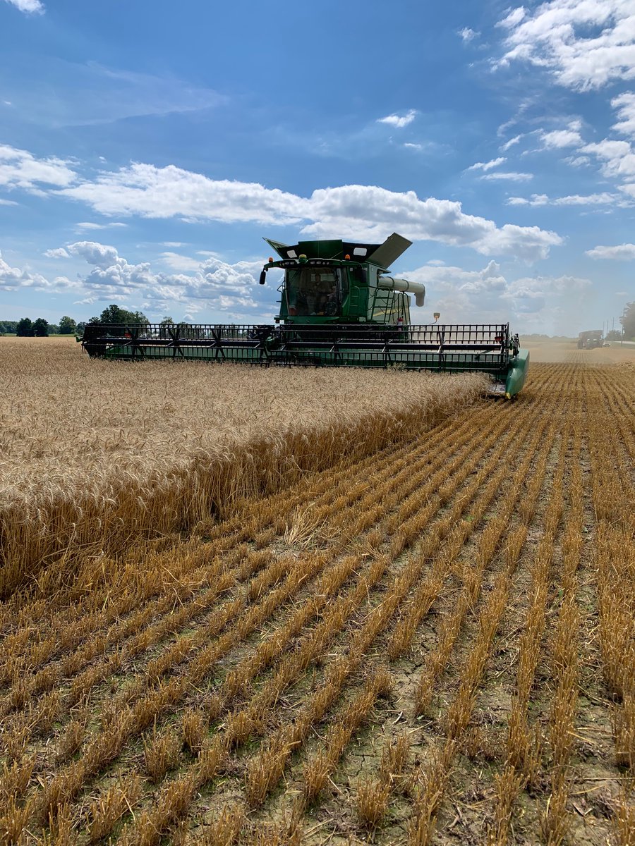 Nice day for some more #harvest22.