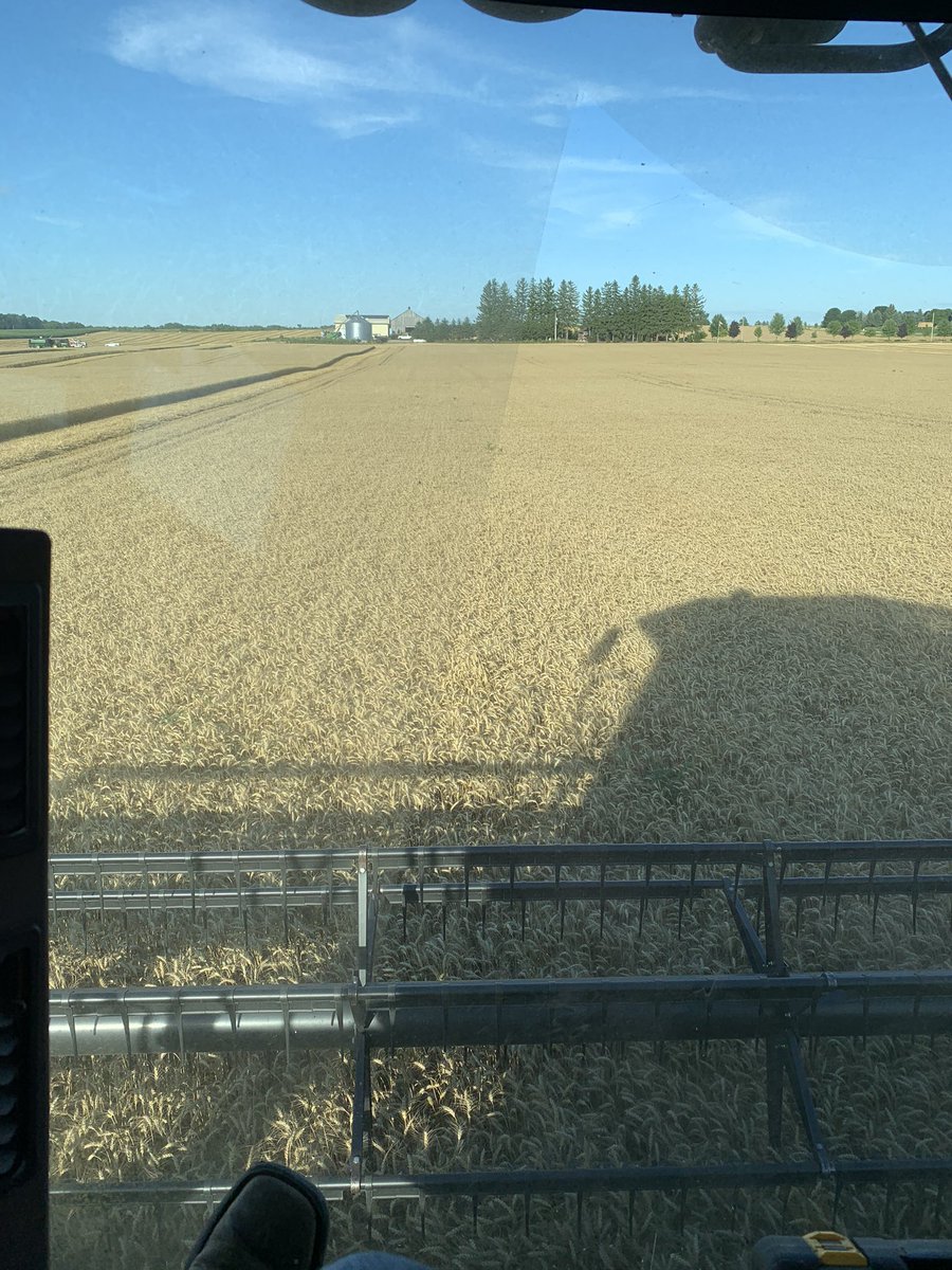 Here we go! First Top Phos field trial coming off tonight in Ayton