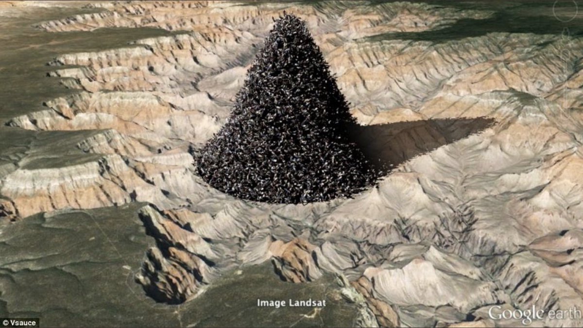denverbitcoin's tweet photo. If you took all humans on earth (7.6B) and piled them all up in The Grand Canyon, this is what it would look like. https://t.co/xAgLxCakci