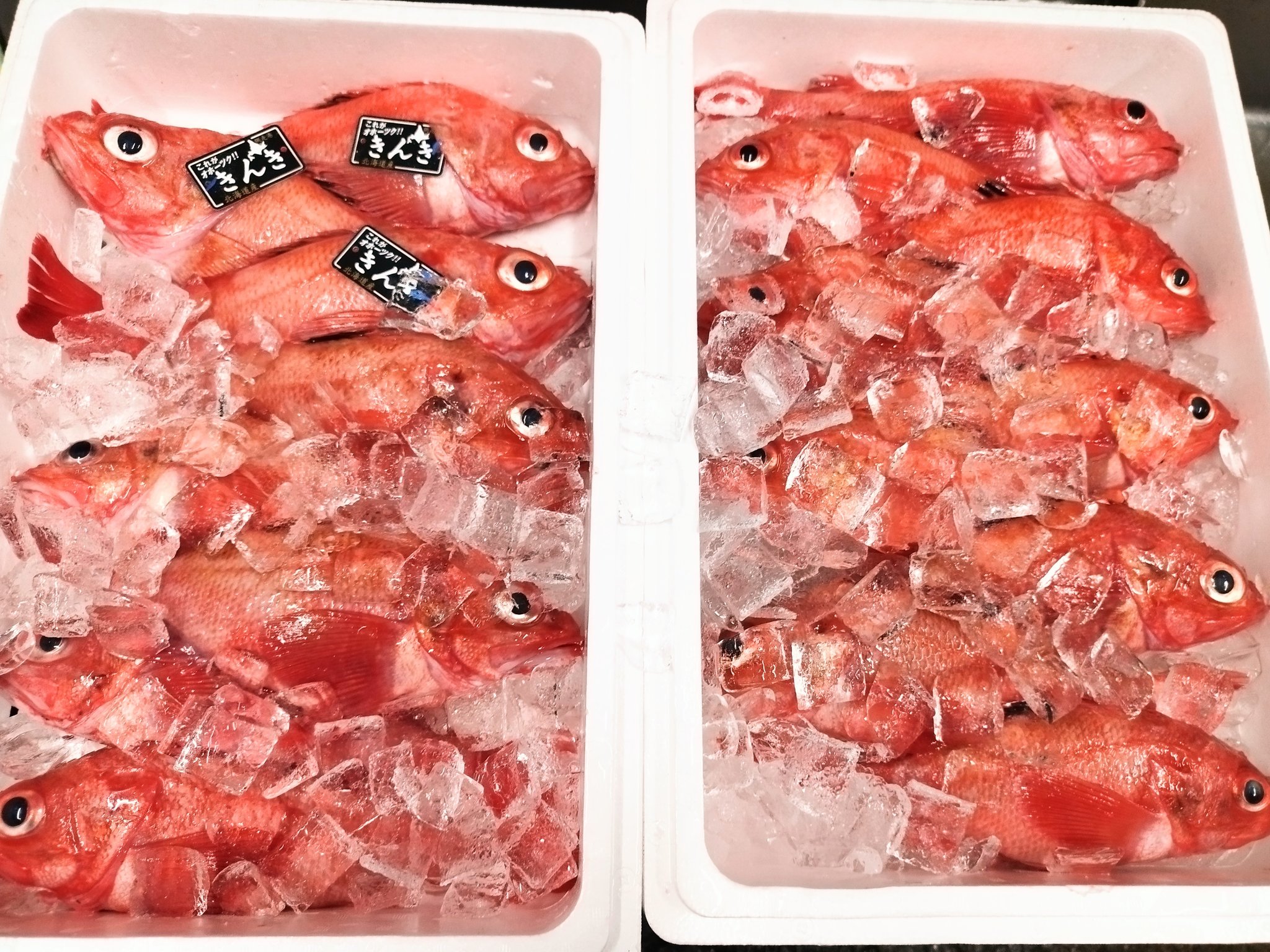 男前みよし鮨 おはようございます 北海道網走産と日高産のキチジです 鮮度もバッチリ 脂もノッています 北海道方面のが荒れているためか値段も上がってましたね 大きいもので500 小さくても400 弱ありますので食べ応えもありますよ キンキ キチジ 男前みよし鮨 おはようございます 北海道網走産と日高産のキチジです 鮮度もバッチリ 脂もノッています 北海道方面のが荒れているためか値段も上がってましたね 大きいもので500 小さくても400 弱ありますので食べ応えもありますよ キンキ キチジ
