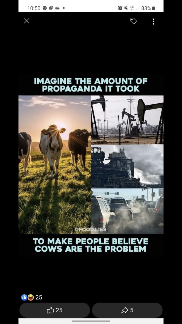 A picture paints a thousand words