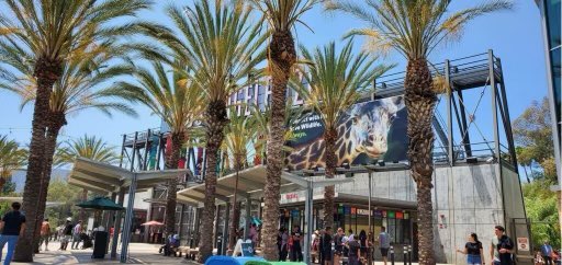 Northeast Area LAPD tweet media