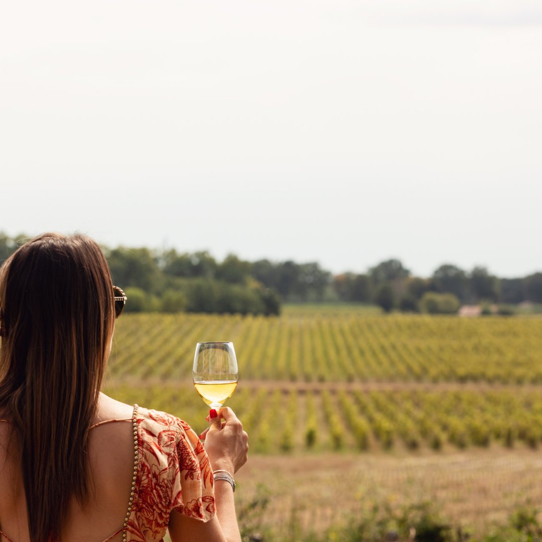 Great Wine Capitals (@winecapitals) on Twitter photo Discover a Best Of Wine Tourism winner from the heart of #Sauternes, #Bordeaux: <a href="/chateau_guiraud/">chateau_guiraud</a>. ๐
Chรขteau Guiraud create an exceptional experience around their quality wines as a tasting involves more than just a glass. Discover how: fal.cn/3qya6 #FrenchWines Discover a Best Of Wine Tourism winner from the heart of #Sauternes, #Bordeaux: <a href="/chateau_guiraud/">chateau_guiraud</a>. ๐
Chรขteau Guiraud create an exceptional experience around their quality wines as a tasting involves more than just a glass. Discover how: fal.cn/3qya6 #FrenchWines