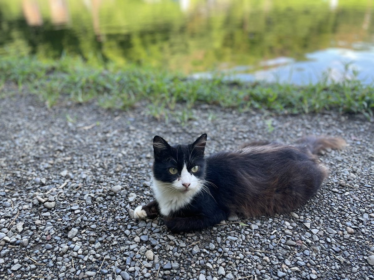 菖蒲理乃のプロフィール・画像・写真(2000010642)