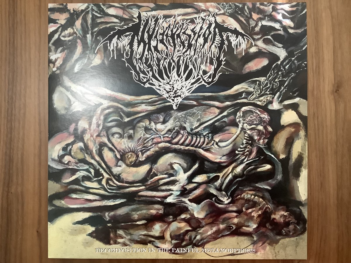 Jack 🐂🏳 tweet media