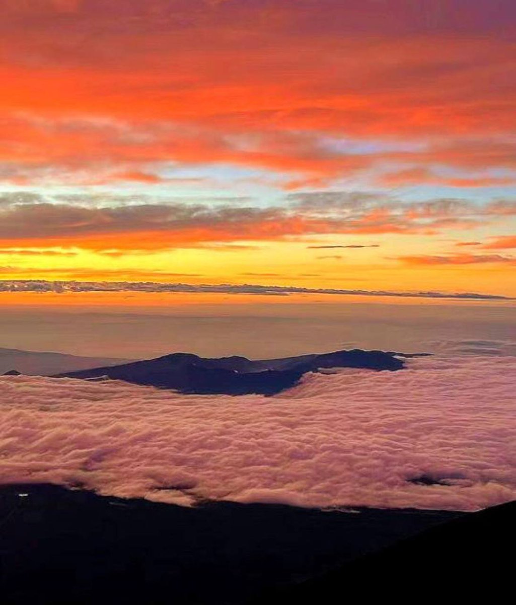 Catalintsq's tweet image. Art always comes from nature