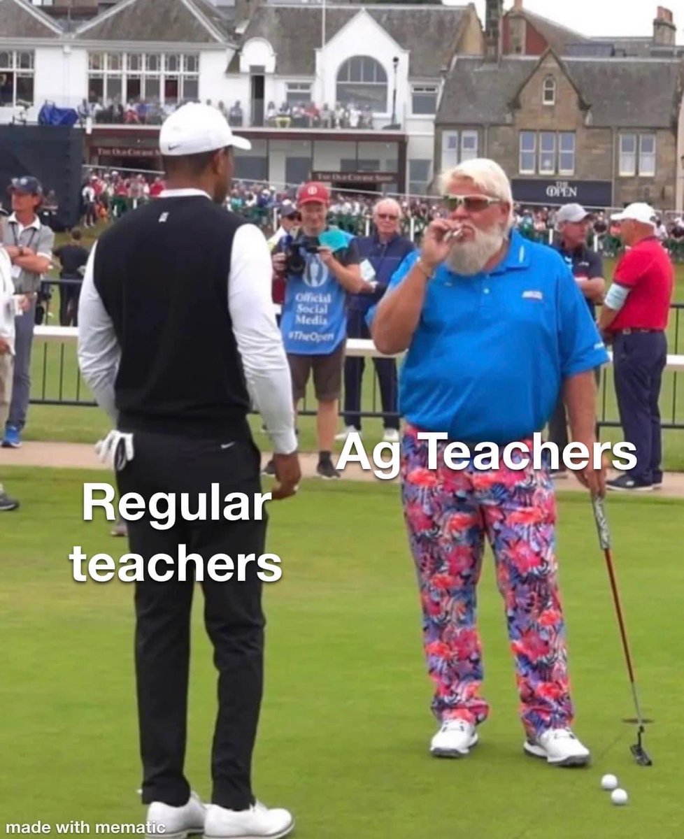 Pothole acres tweet media